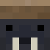 auctioneer icon