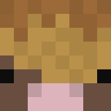 auctioneer icon