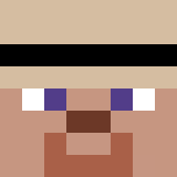 auctioneer icon