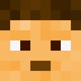 auctioneer icon