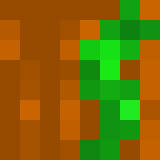 auctioneer icon