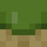 auctioneer icon