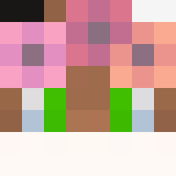 auctioneer icon