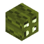 SEA_LUMIES
