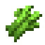 SUGAR_CANE